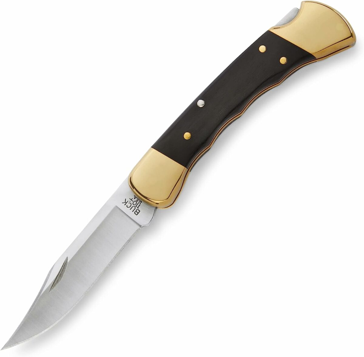 Buck 110 Fingergroove Folding Hunter