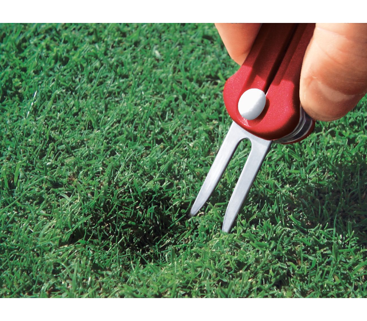 Victorinox Swiss Army Ruby Golf Tool - Image 4