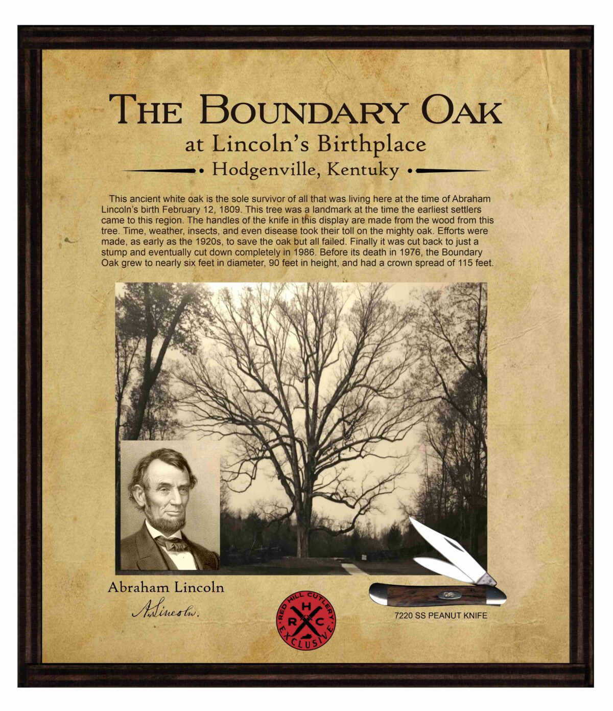 Case Abraham Lincoln Boundary Oak Tree Peanut Set
