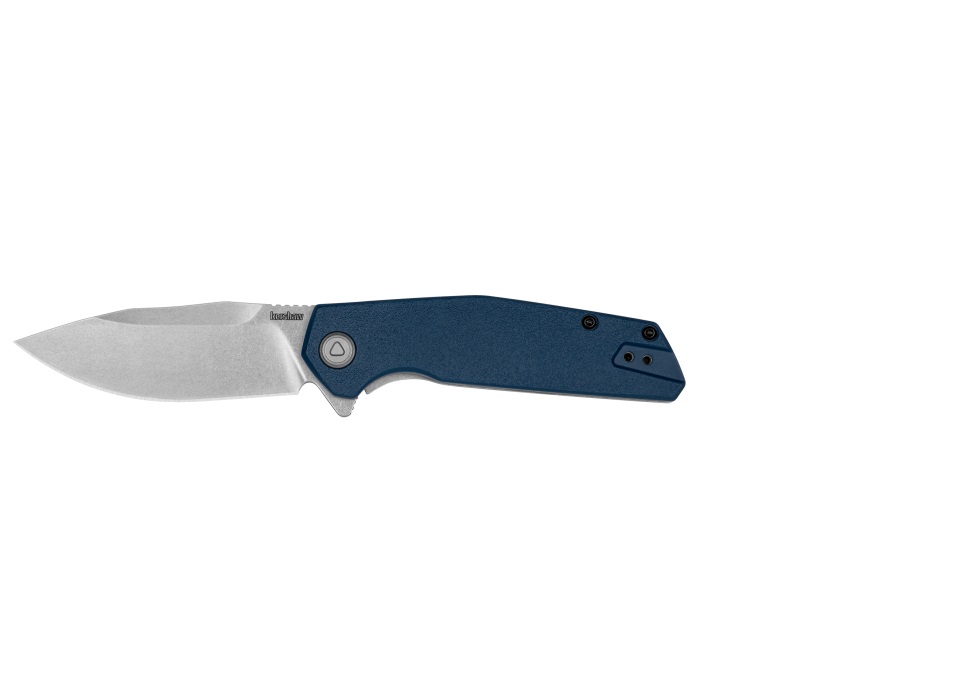 Kershaw Blue Lucid Assisted Flipper