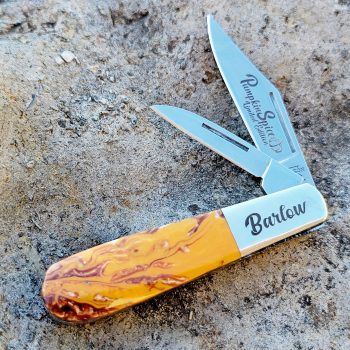 Bear Pumpkin Spice Micro Pearl Baby Barlow (Limited Release Exclusive)