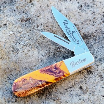 Bear Pumpkin Spice Micro Pearl Barlow (Limited Release Exclusive)