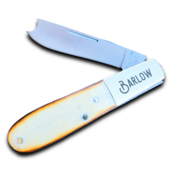 Bear Toasted Bonfire Bone Barlow