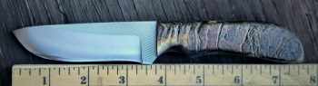 Anza Knives 12F Rancher Dark Sheep Horn Fixed Blade